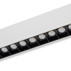 LED šviestuvas LVM FOCUS LED LED 15W 3000K IP20 Balta