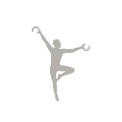 Priedas ACROBAT Jedwabisto pilkas