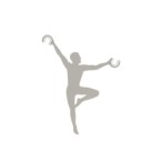 Priedas ACROBAT Jedwabisto pilkas