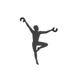 Priedas ACROBAT Grafito