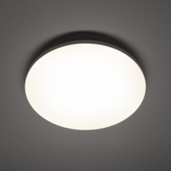 Plafonas DENIA LED M SENSOR LED 24W 4000K IP20 Balta su judesio davikliu