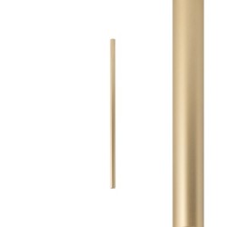 Šviestuvo gaubtas CAMELEON LASER 750 G9 Aukso