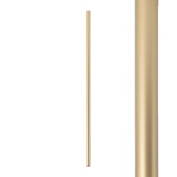 Šviestuvo gaubtas CAMELEON LASER 1000 G9 IP20 Aukso