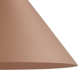 Sieninis šviestuvas CAPITAL ROSE Auksas 1xGX53