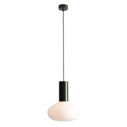 Pakabinamas šviestuvas FLO MOSS M 1xE14 Geležis, Stiklas (7000G26_M)