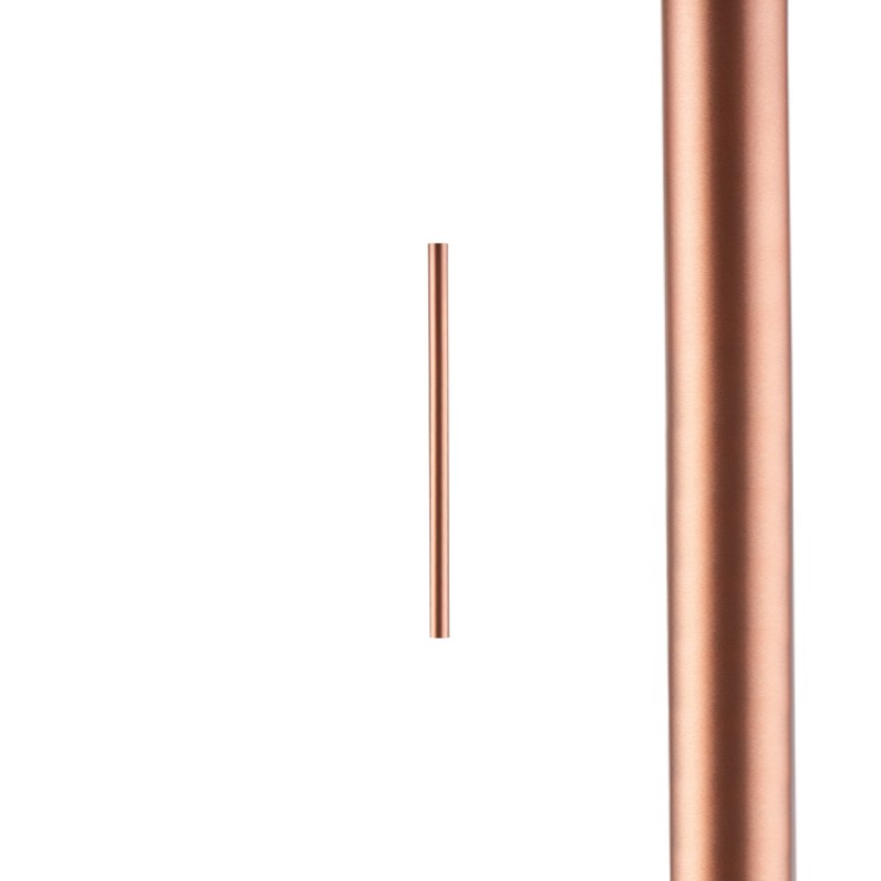 Šviestuvo gaubtas CAMELEON LASER 490 G9 IP20 Matinis varis