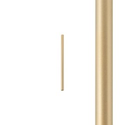 CAMELEON sistemos šviestuvo gaubtas LASER 2.5x49cm Aukso