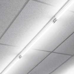 25x LED lempa T8 G13 PREMIUM LED 15.5W 2500lm 4000K 120cm 5 m. garantija
