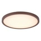 Lubinis lauko šviestuvas Lautrec LED 24W 3000, 4000, 6500K CCT keičiama balta spalva (Ruda)