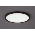 Lubinis lauko šviestuvas Lautrec LED 24W 3000, 4000, 6500K CCT keičiama balta spalva (Ruda)