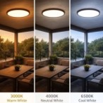 Lubinis lauko šviestuvas Lautrec LED 24W 3000, 4000, 6500K CCT keičiama balta spalva (Ruda)