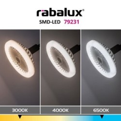 SMD-LED LED 16W 3000-6500K CCT keičiama balta spalva (Balta)