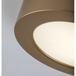 Lubinis lauko šviestuvas Shaun Plus LED 7W 4000K Neutrali balta (Aukso)