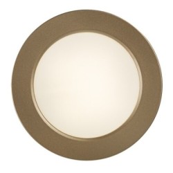 Lubinis lauko šviestuvas Shaun Plus LED 7W 4000K Neutrali balta (Aukso)