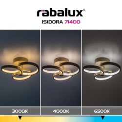 Lubinis šviestuvas Isidora LED 32W 3000-6500K CCT keičiama balta spalva (Rusva)