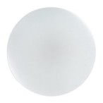Lubinis šviestuvas Danny2 LED 34W 3000-6500K CCT keičiama balta spalva (Balta)