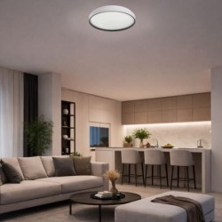 Lubinis šviestuvas Zerava LED 34W 3000-6500K CCT keičiama balta spalva (Juoda)