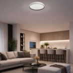 Lubinis šviestuvas Zerava LED 34W 3000-6500K CCT keičiama balta spalva (Juoda)