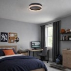 Lubinis šviestuvas Seraphiel LED 18W 3000-6500K CCT keičiama balta spalva (Juoda)