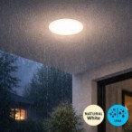 Lubinis šviestuvas Lucas2 LED 12W 4000K Neutrali balta (Balta)