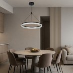 Pakabinamas šviestuvas Seraphiel LED 24W 3000-6500K CCT keičiama balta spalva (Juoda)