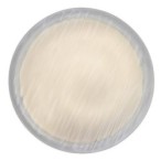 Lubinis šviestuvas Luvia LED 36W 4000K Neutrali balta (Balta)