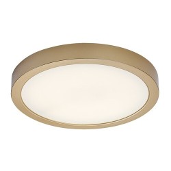Lubinis lauko šviestuvas Shaun Plus LED 30W 4000K Neutrali balta (Aukso)