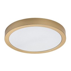 Lubinis lauko šviestuvas Shaun Plus LED 30W 4000K Neutrali balta (Aukso)