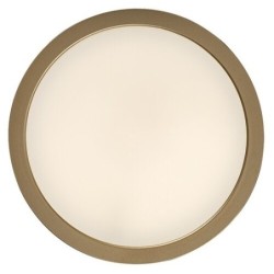 Lubinis lauko šviestuvas Shaun Plus LED 30W 4000K Neutrali balta (Aukso)