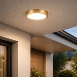 Lubinis lauko šviestuvas Shaun Plus LED 30W 4000K Neutrali balta (Aukso)