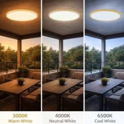 Lubinis lauko šviestuvas Lautrec LED 24W 3000, 4000, 6500K CCT keičiama balta spalva (Medienos)