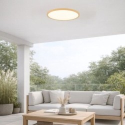 Lubinis lauko šviestuvas Lautrec LED 24W 3000, 4000, 6500K CCT keičiama balta spalva (Medienos)