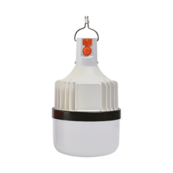 5x Pakraunamas LED šviestuvas Bulb 10W 4000K USB 5V