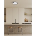 Lubinis šviestuvas Botta LED 24W 2800, 4000, 6000K Juoda (PLF-63746-M-BK)