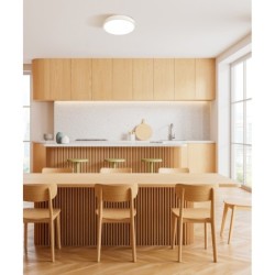 Lubinis šviestuvas Botta LED 24W 2800, 4000, 6000K Balta (PLF-63746-M-WH)