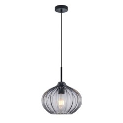 Pakabinamas šviestuvas Pansol 1xE27 Juoda (PND-2940-1S-BK-SG2)
