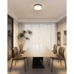 Lubinis šviestuvas Rilta LED 24W 2800, 4000, 6000K Juoda (PLF-73527-M-BK)