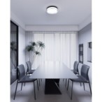 Lubinis šviestuvas Rilta LED 24W 2800, 4000, 6000K Juoda (PLF-73527-M-BK)