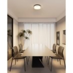 Lubinis šviestuvas Rilta LED 18W 2800, 4000, 6000K Juoda (PLF-73527-S-BK)