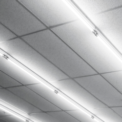 25x LED lempa T8 G13 PREMIUM LED 23W 3700lm 4000K 150cm 5 m. garantija