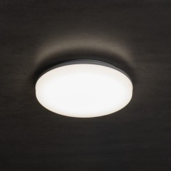 Lubinė LED panelė (plafonas) VARSO 12-20W-CCT-O, IP54, 28cm