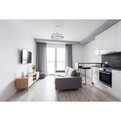 Lubinis LED šviestuvas su ventiliatoriumi PLAVE INB49 CCT W/SR (36W, CCT, balta/sidabrinė)