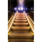 20m LED juosta LCOB LONG 20m, 7.5W/m, 24V DC, IP00, COB 3000K (Šilta balta)