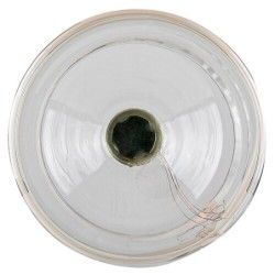 LED lemputė E27 Filament-LED 4W T100 3000K Šilta balta