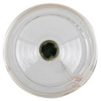 LED lemputė E27 Filament-LED 4W T100 3000K Šilta balta
